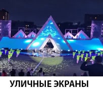 Уличные эканы